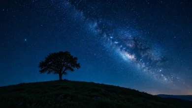 Açık bir gecede yıldızlarla dolu gökyüzü altında sessiz bir tepe